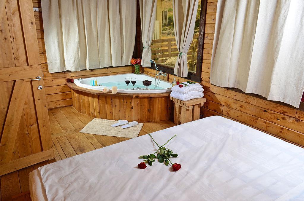 Yagorov Chalet Yavne'el Room photo